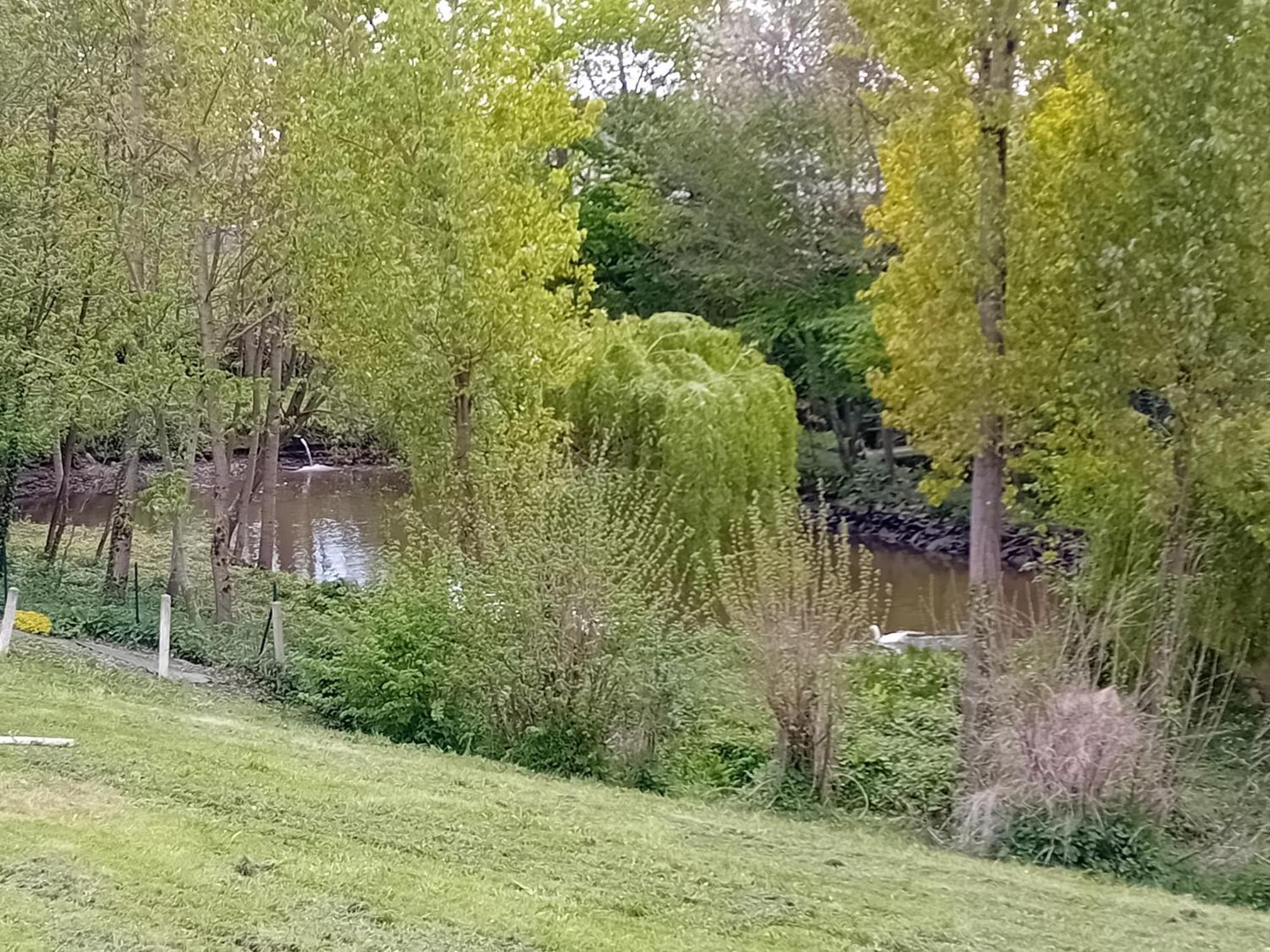 Maison Au Coeur De La Nature Cerisy-la-Foret Luaran gambar